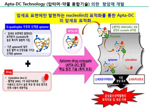 이미지: [Apta-16의 Nucleolin 타겟 선택적 항암작용 메카니즘]
