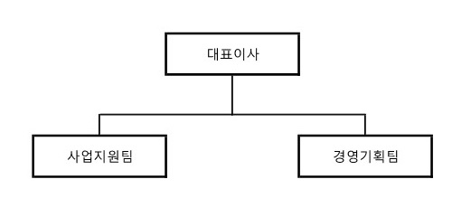 이미지: 홀딩스 조직도
