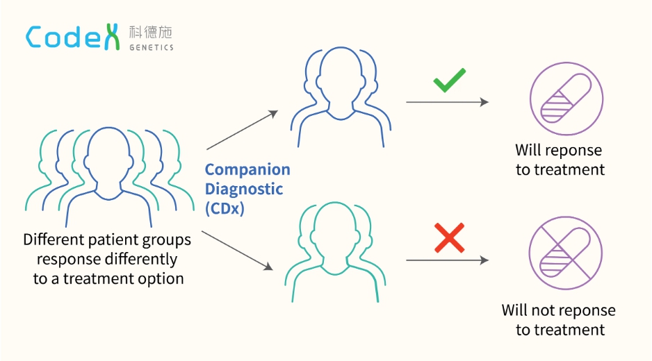 이미지: 동반진단 기술