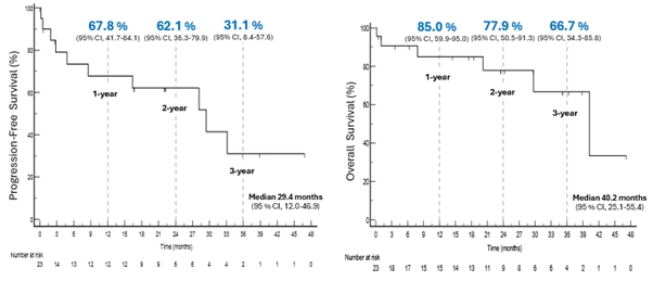 이미지: Kaplan-Meire Plot Curve of PFS and OS