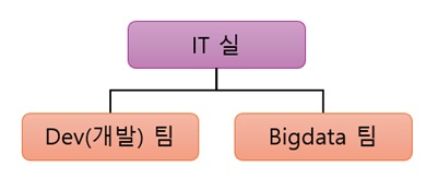 이미지: it조직