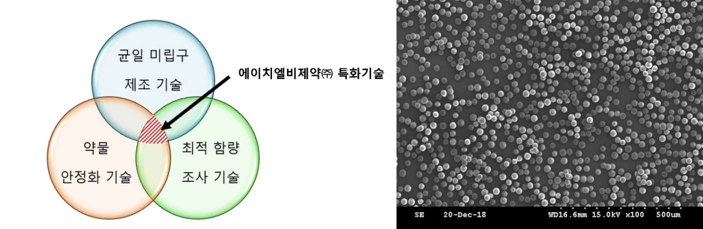 이미지: SMEB 플랫폼 기술의 구성 및 자체 개발된 미립구의 주사전자현미경 사진