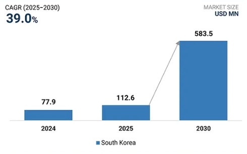 이미지: 국내 휴머노이드 시장 규모