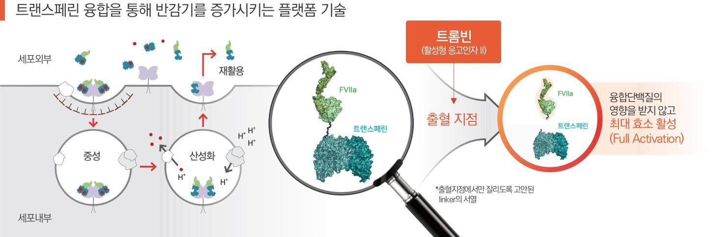 이미지: [TU7710 작용 기전]