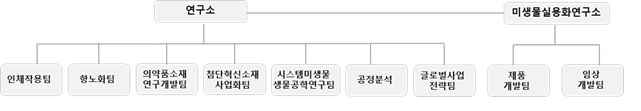 이미지: 연구소조직도