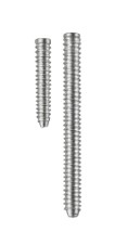 이미지: (Cortex Screw)