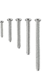 이미지: (Bioresorbable Bone Screw)