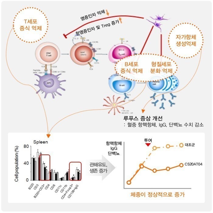 이미지: CE211AT15의작용기전