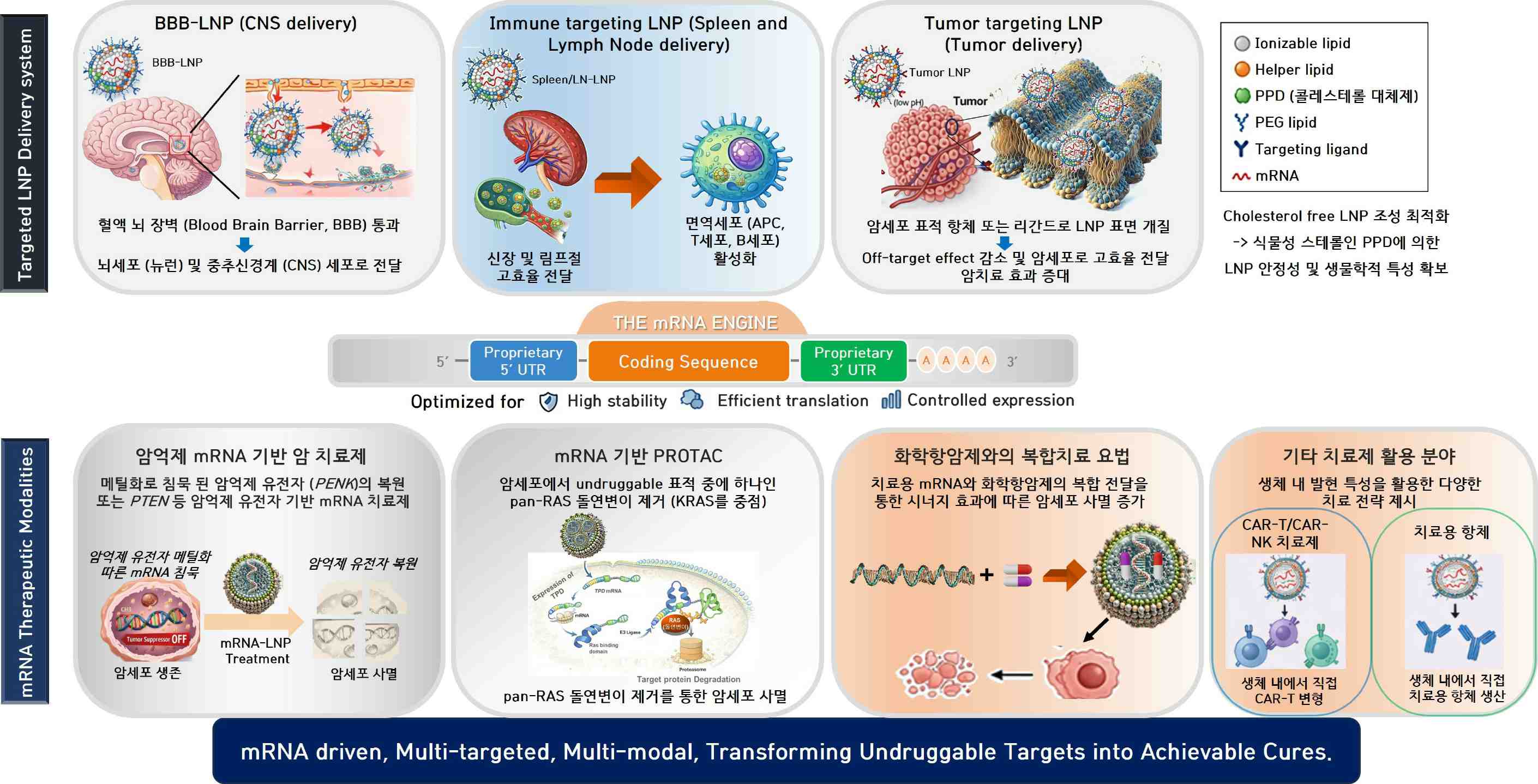 이미지: [(m)RNA 기반 치료제 개발 및 LNP(표적 지향적) 지질나노입자 개발]