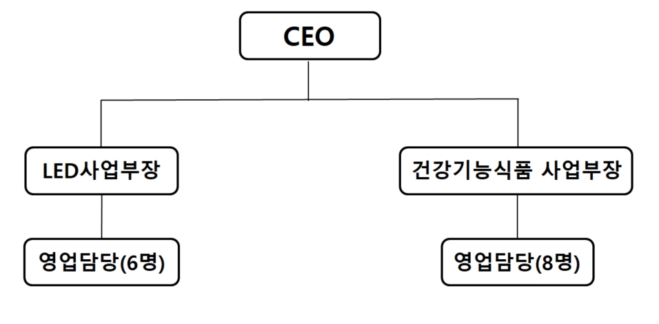 이미지: 판매조직도