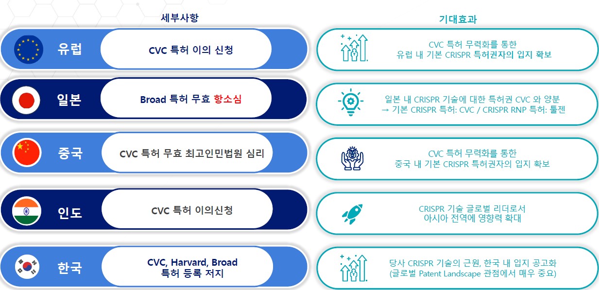 이미지: 경쟁사 특허 모니터링 현황 및 기대효과